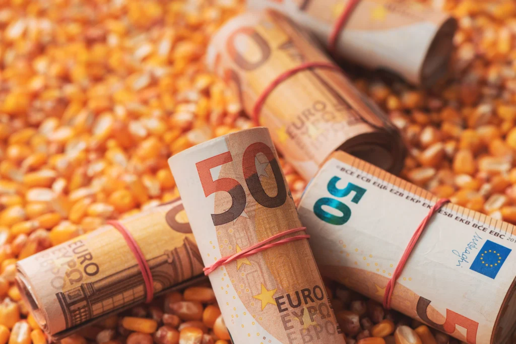 Rolled Euro banknotes on corn kernels symbolizing GM crop regulations and forex market connections.
