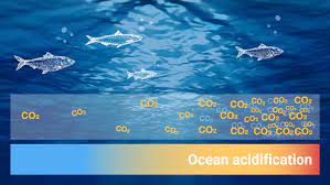 How Ocean Acidification is Eroding Forex Fortunes : Souring Seas, Sinking Profits