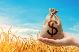 A hand holding a money bag with a dollar symbol over a wheat field, symbolizing profitable commodity investing in 2026.